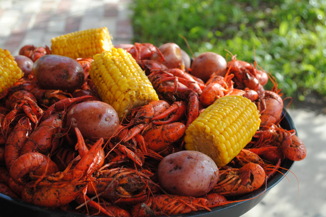 Crawfish corn potatoes table sunny free wallpaper for desktop - medium preview image