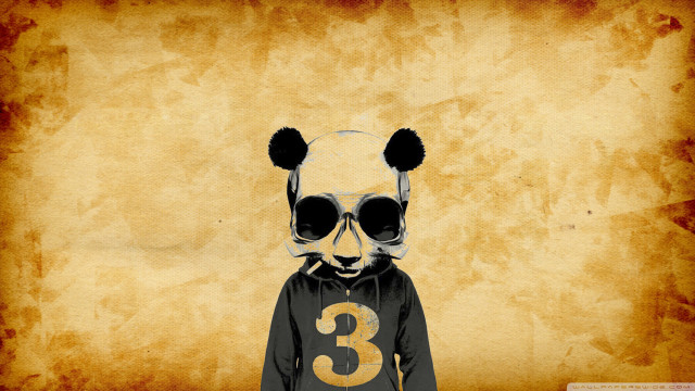 Panda sunglasses shirt three hat free wallpaper for desktop - medium preview image