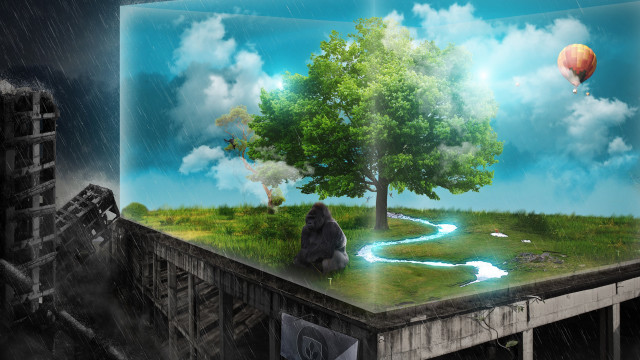Tree river box sky hot free wallpaper for desktop - medium preview image
