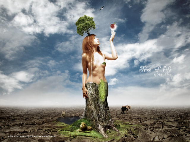 Woman tree glass dog beach free wallpaper for desktop - medium preview image