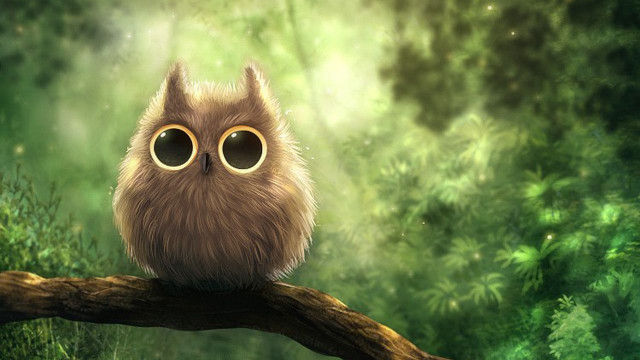 Brown owl sitting branch forest free wallpaper for desktop - medium preview image