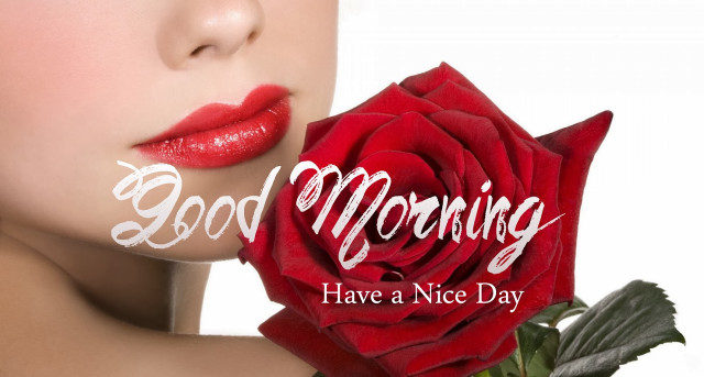 Woman red rose good morning free wallpaper for desktop - medium preview image