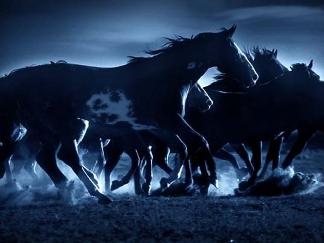 Horses running night moon black free wallpaper for desktop - medium preview image