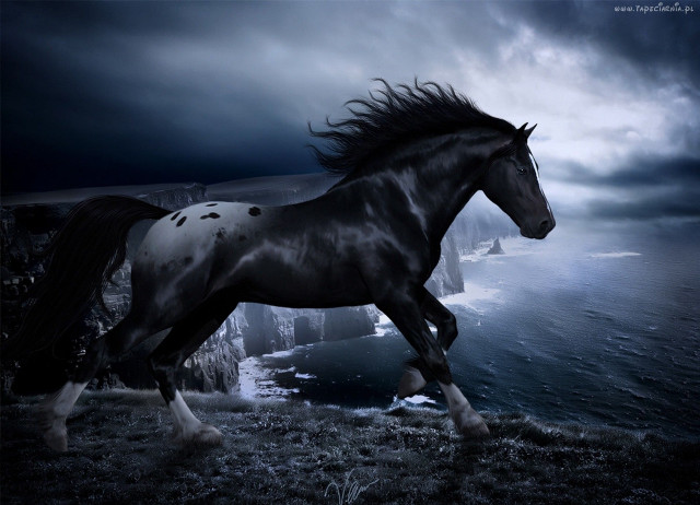 Horse cliff ocean background dark free wallpaper for desktop - medium preview image