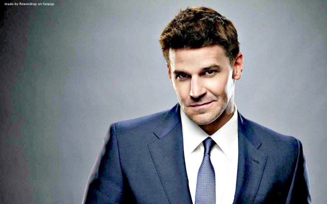 Man suit tie smile serious free wallpaper for desktop - medium preview image