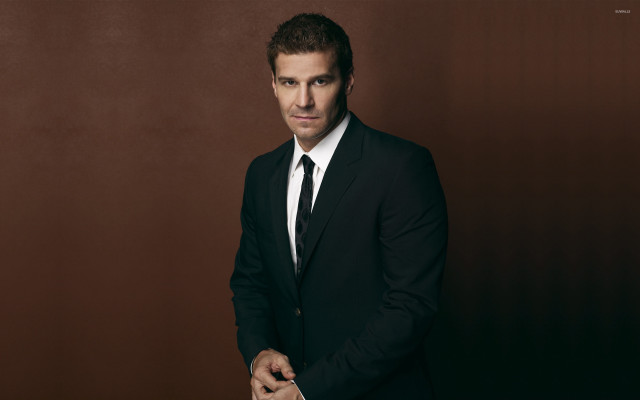 Man suit tie posing picture #9 free wallpaper for desktop - medium preview image