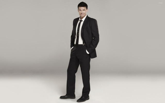 Man suit tie studio gray free wallpaper for desktop - medium preview image