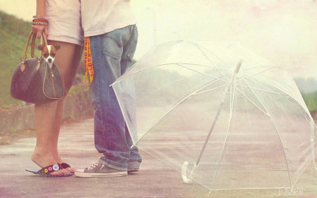 Couple holding umbrellas bags standing free wallpaper for desktop - medium preview image