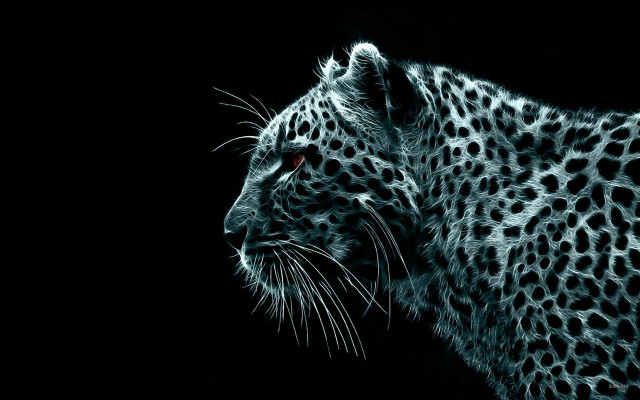 Leopard face red eyes black #2 free wallpaper for desktop - medium preview image