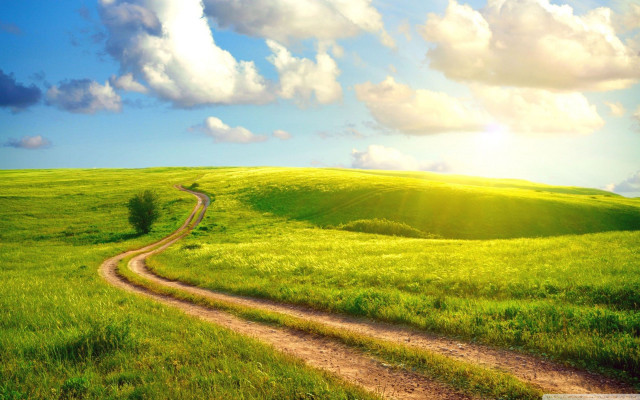 Dirt road green field blue #2 free wallpaper for desktop - medium preview image