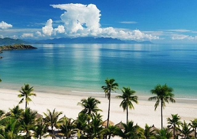 Beach palm trees blue sky #27 free wallpaper for desktop - medium preview image