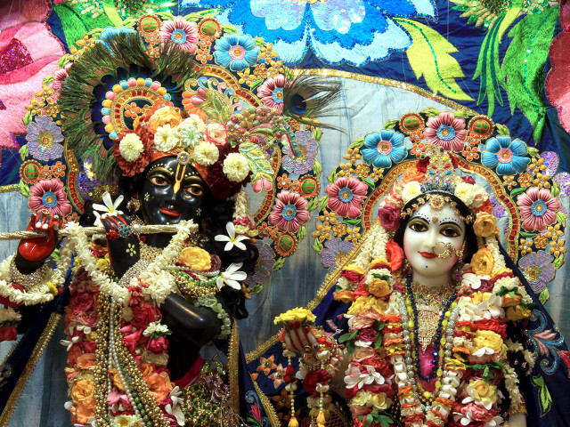 Couple people standing wall flowers free wallpaper for desktop - medium preview image