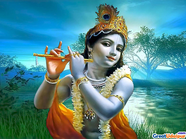 Woman playing flute field grass #2 free wallpaper for desktop - medium preview image