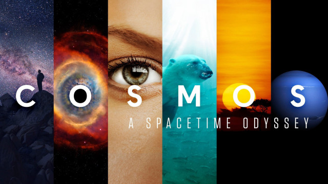 Cosmos collage woman face images free wallpaper for desktop - medium preview image