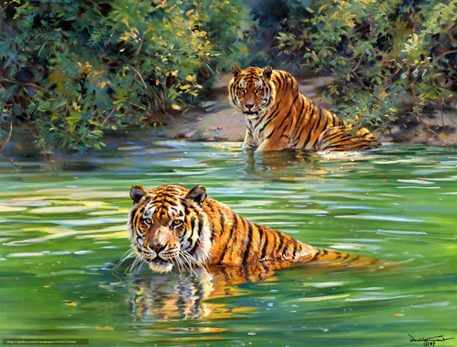 Tigers river trees background water free wallpaper for desktop - medium preview image