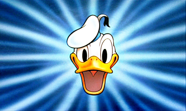 Cartoon duck hat blue background #2 free wallpaper for desktop - medium preview image