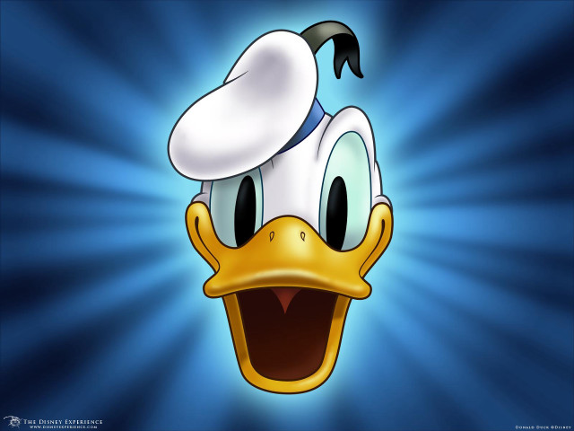 Cartoon duck hat blue background free wallpaper for desktop - medium preview image