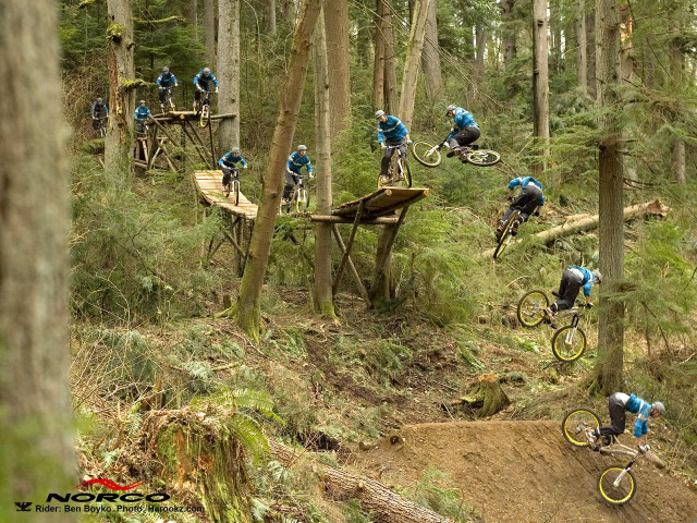 Forest bike ride people jumping free wallpaper for desktop - medium preview image