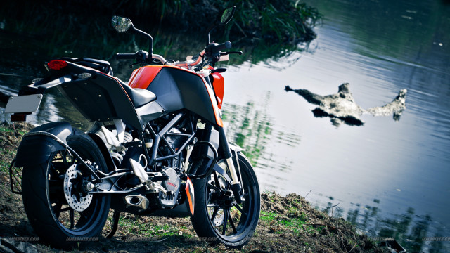 Motorcycle water ducks flying background free wallpaper for desktop - medium preview image