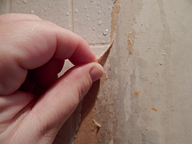 Person holding paper pointing thumb free wallpaper for desktop - medium preview image