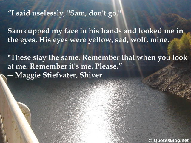 Quote bridge river lake forest free wallpaper for desktop - medium preview image