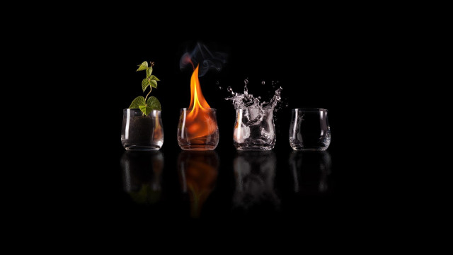 Glasses plant table black background free wallpaper for desktop - medium preview image