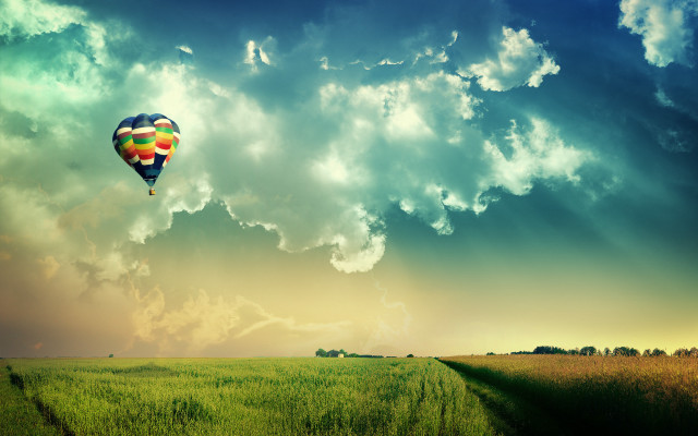 Hot air balloon over lush free wallpaper for desktop - medium preview image