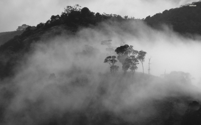 Foggy mountain black white photo free wallpaper for desktop - medium preview image