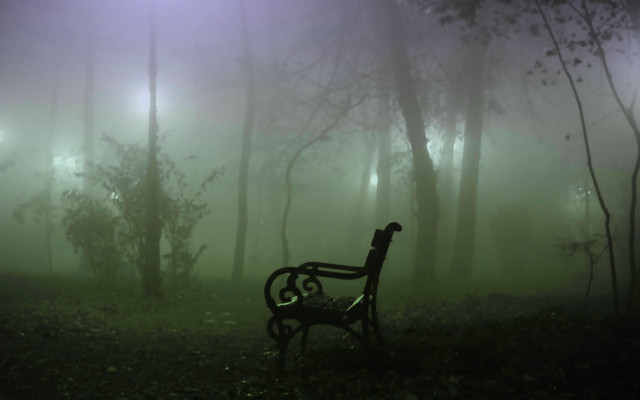 Bench forest fog lights trees free wallpaper for desktop - medium preview image
