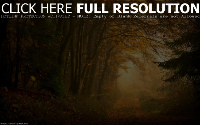 Path woods sunshine click here free wallpaper for desktop - medium preview image