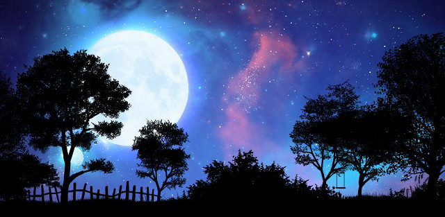 Night scene full moon trees free wallpaper for desktop - medium preview image