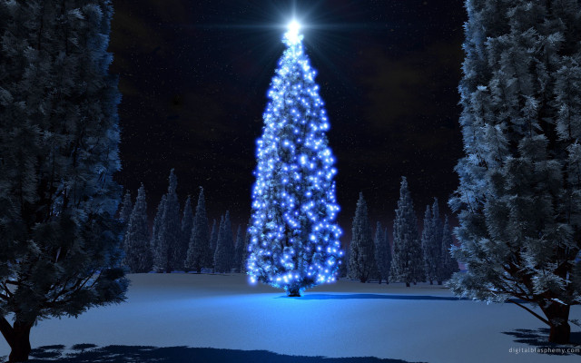 Christmas tree lit snow night #7 free wallpaper for desktop - medium preview image
