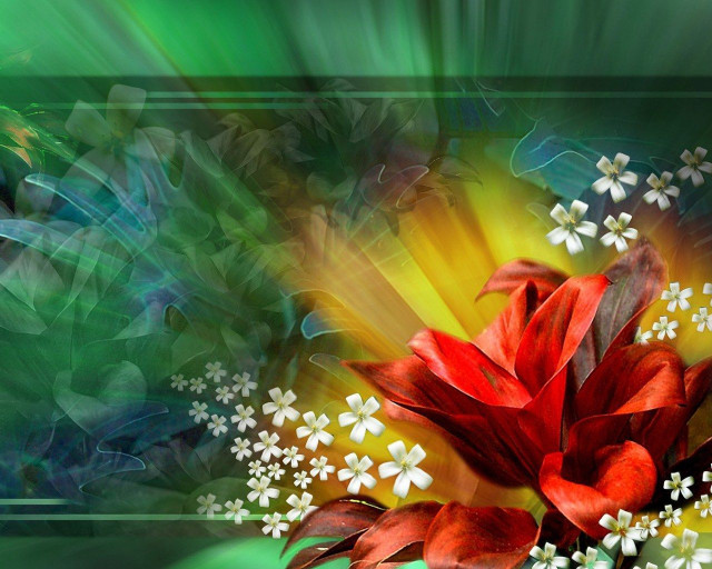 Red flower white center floral free wallpaper for desktop - medium preview image