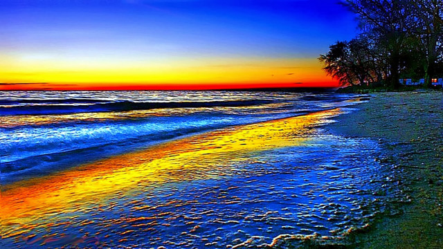 Beach sunset trees shore blue free wallpaper for desktop - medium preview image
