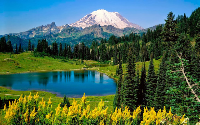 Mountain lake forest yellow flowers free wallpaper for desktop - medium preview image