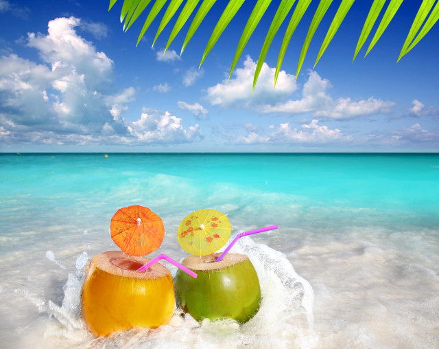 Coconuts umbrellas beach blue water free wallpaper for desktop - medium preview image