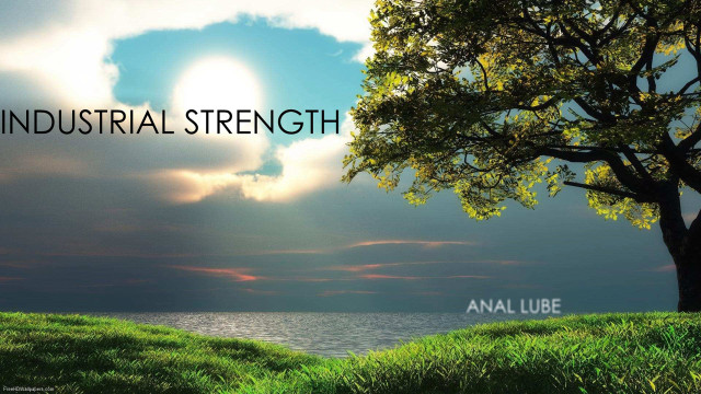 Tree sunset sky love strength free wallpaper for desktop - medium preview image