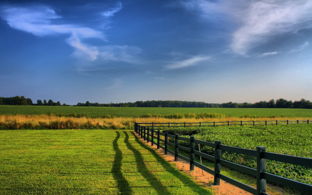 Shadows fence grass crops sunny free wallpaper for desktop - medium preview image