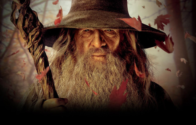 Old man forest wizard cowboy free wallpaper for desktop - medium preview image