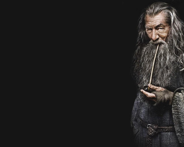 Man long beard holding stick free wallpaper for desktop - medium preview image