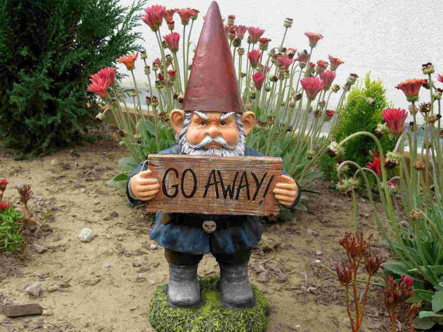 Garden gnome go away signs free wallpaper for desktop - medium preview image