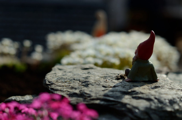 Gnome figurine sitting rock garden free wallpaper for desktop - medium preview image
