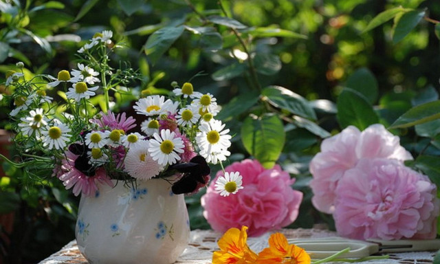 Vase of flowers garden table free wallpaper for desktop - medium preview image