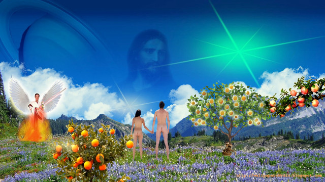 Man fruit trees angels blue free wallpaper for desktop - medium preview image