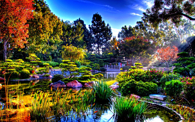 Pond trees grass park bridge free wallpaper for desktop - medium preview image