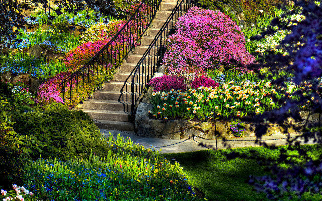 Garden staircase flowers surrounding ground free wallpaper for desktop - medium preview image