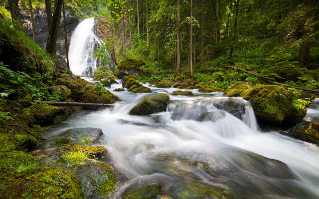 Waterfall forest mossy rocks trees free wallpaper for desktop - medium preview image