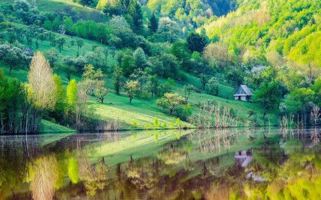 Lake lush hillside forest cabin free wallpaper for desktop - medium preview image
