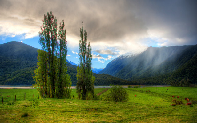 Grassy field trees mountains cloudy free wallpaper for desktop - medium preview image