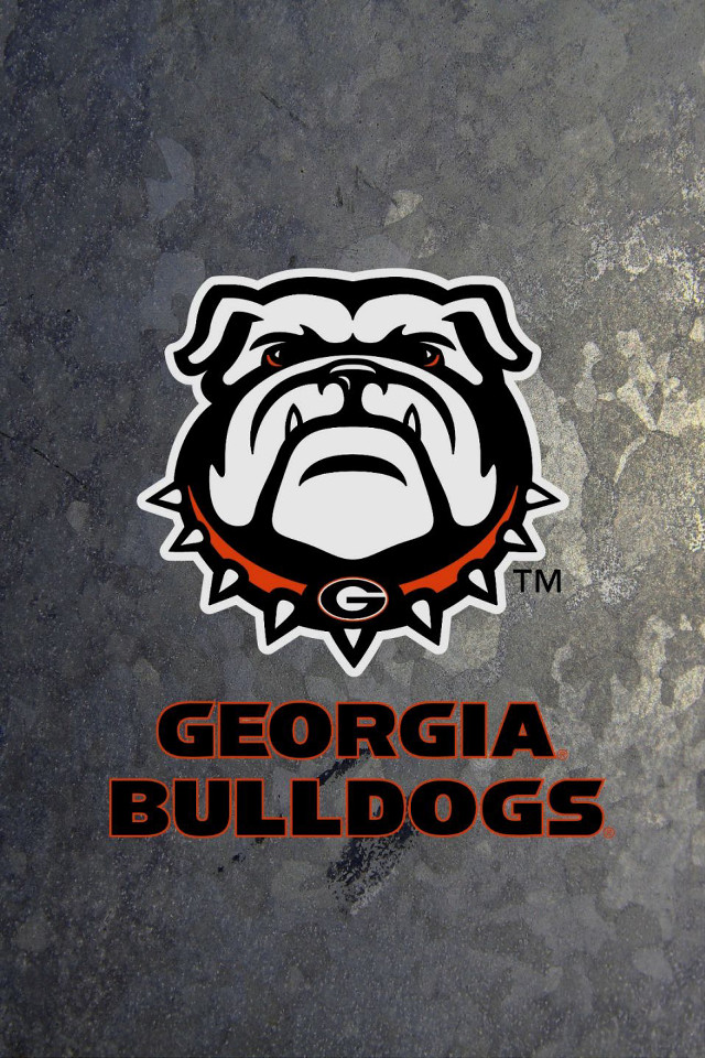 Dog face stone surface georgia free wallpaper for mobile - medium preview image